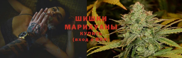 индика Покров
