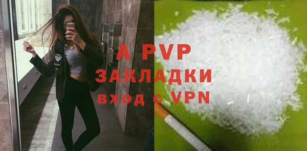 индика Покров