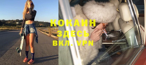 индика Покров