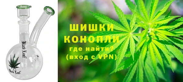 индика Покров