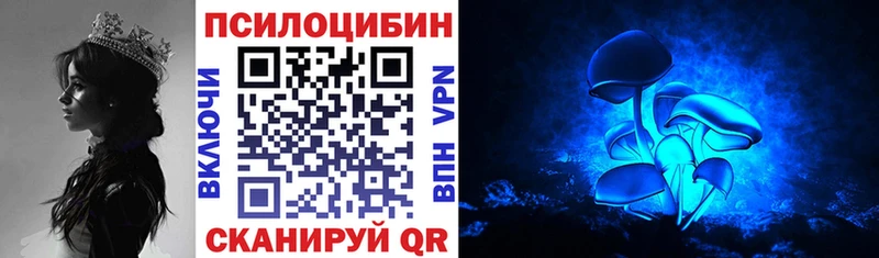 закладки  Тайшет  Псилоцибиновые грибы Cubensis 